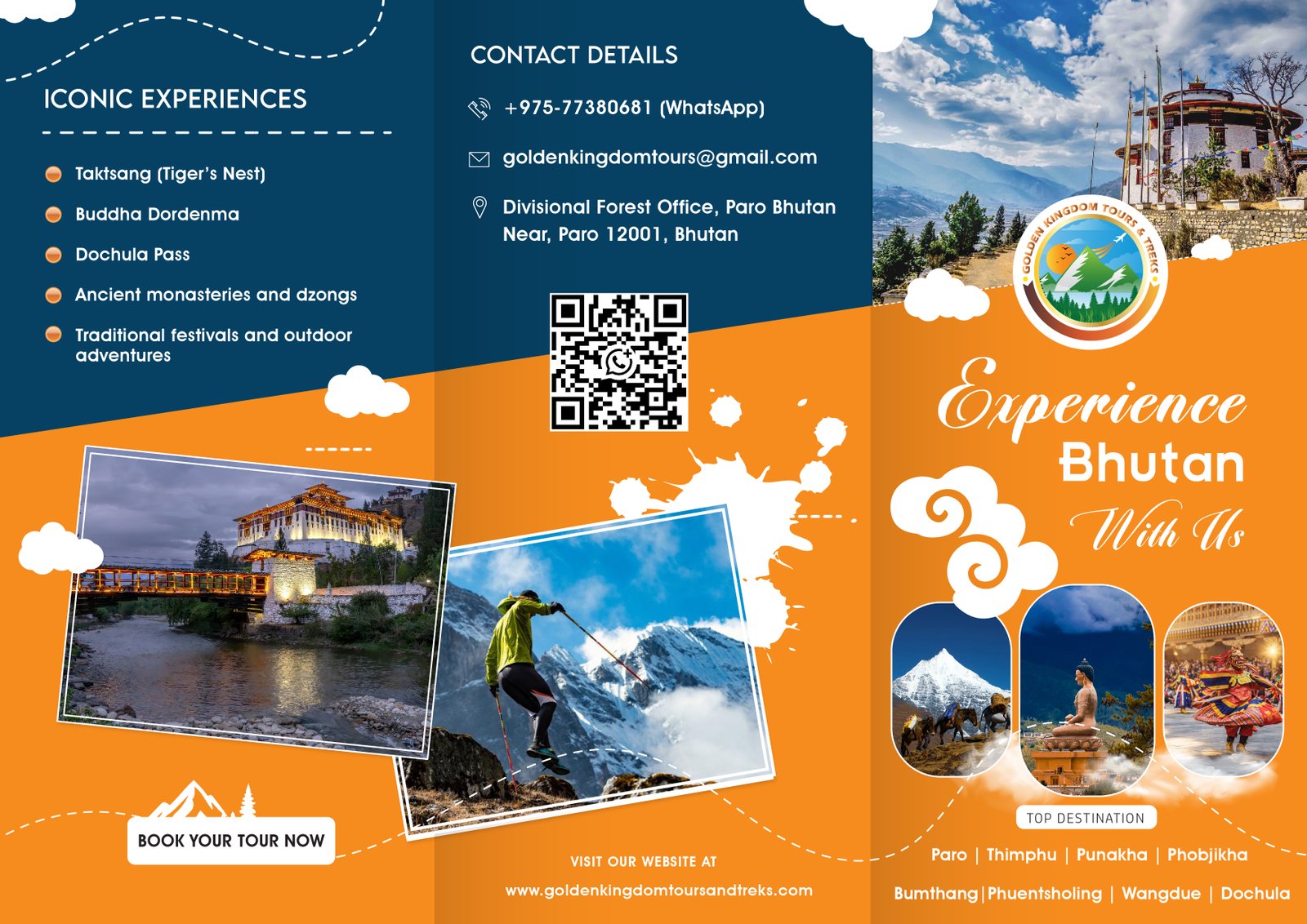 Carewise patient app branding